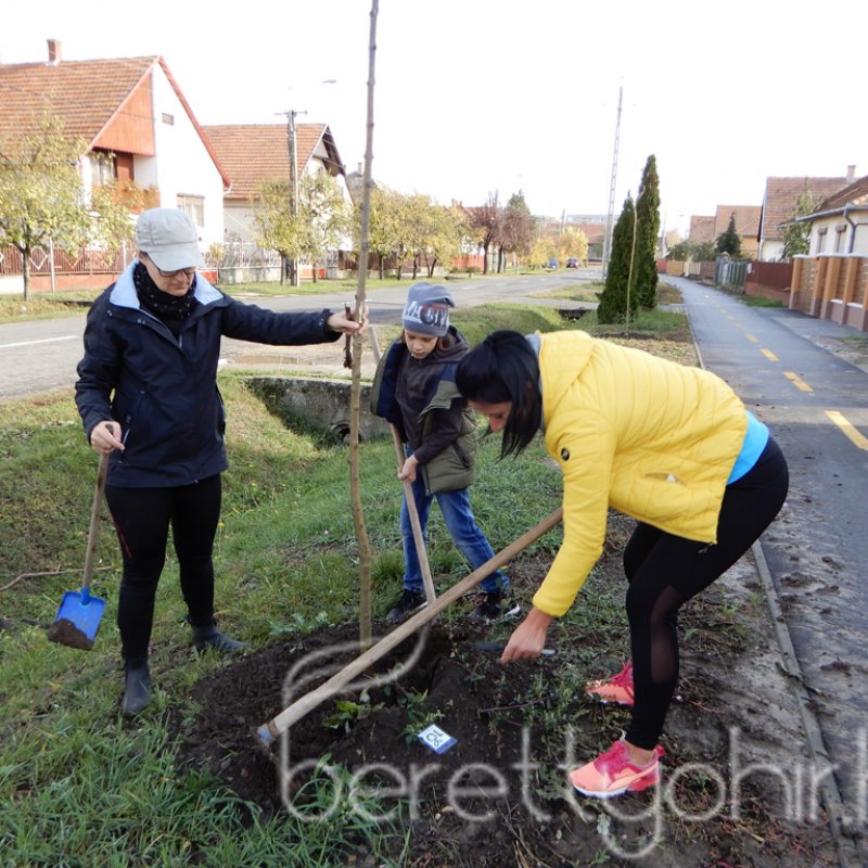 Közösségi faültetés Berettyóújfaluban 66